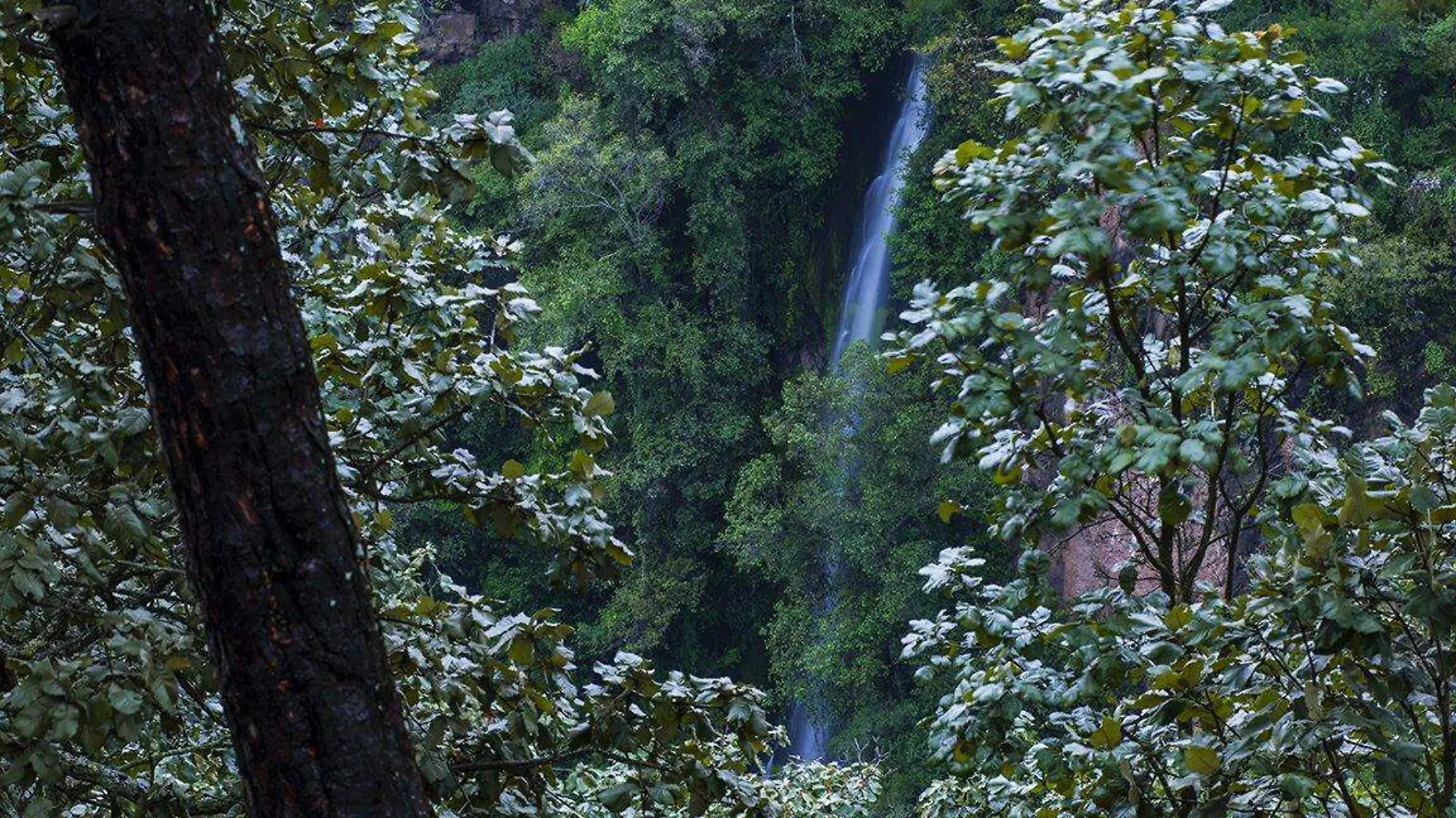 Cascada Salto del Nogal